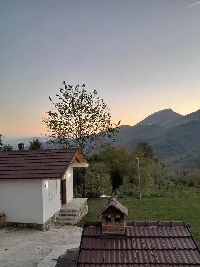 Guest House Laci Tirana 0*,